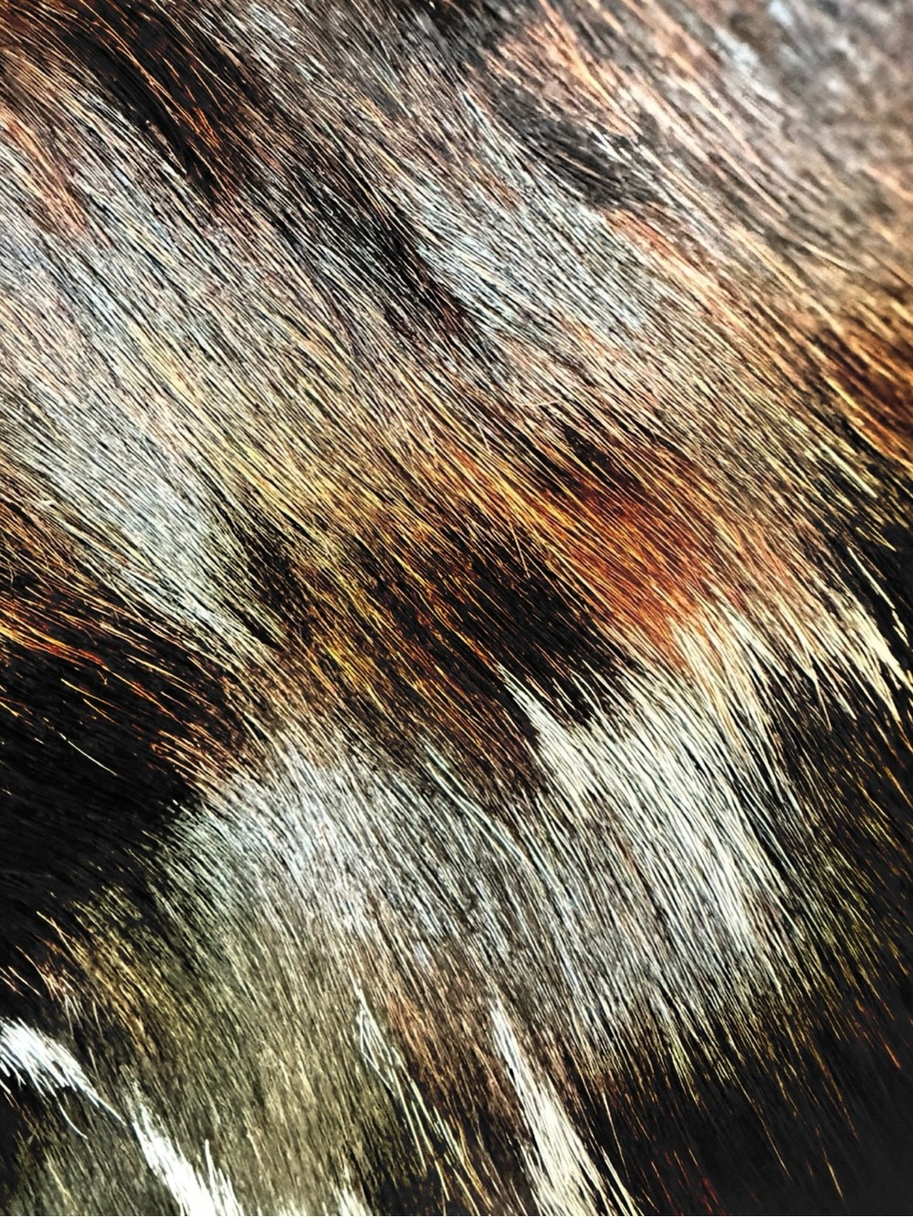 Italian Cowhide Hobo Shoulder with a free Burberry or fendi scarf if over $300. - Picture 7 of 7